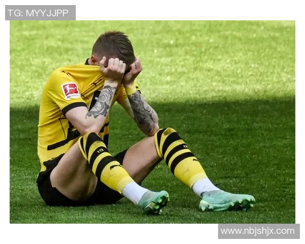 德甲升降级悬念缓解，涅恩斯坦主场逼平多特蒙德