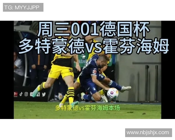 霍芬海姆客场小胜多特蒙德，反超对手登顶积分榜