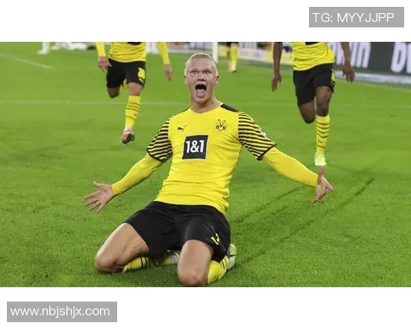 霍芬海姆继续连胜，不敌不伦瑞克的挑战