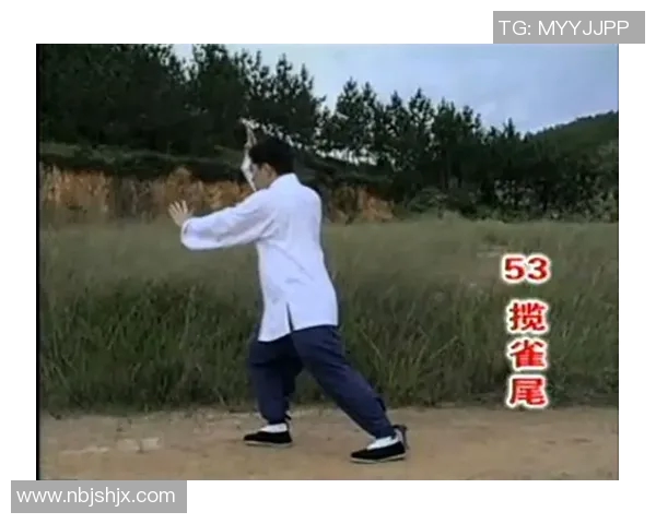 深入探讨杨式85式太极拳谱的技艺精髓与实战应用