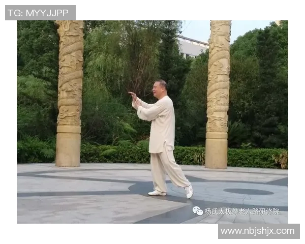 太极拳理论知识探讨与实践应用的深度解析与研究